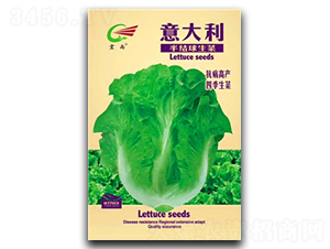 �������Y(ji��)������-���˷N��-����