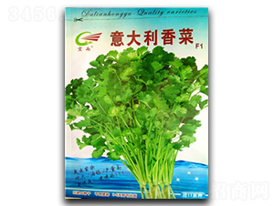 ��������-��˷N��-����