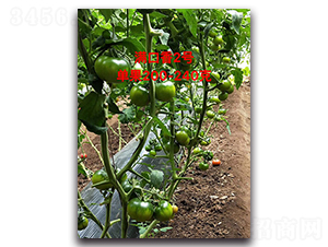 �M����2̖(h��o)-���ѷN��-Ψ�r(n��ng)�N�I(y��)