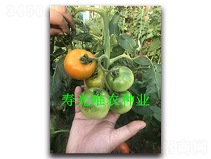 �M�����S��ݮ-���ѷN��-Ψ�r(n��ng)�N�I(y��)