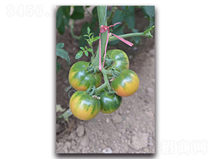 �F��201-���ѷN��-Ψ�r(n��ng)�N�I(y��)