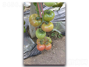 �F������-���ѷN��-Ψ�r(n��ng)�N�I(y��)