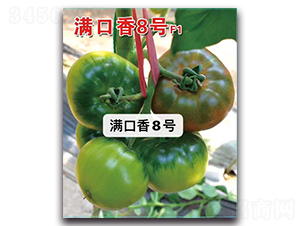 �M����8̖-���ѷN��-Ψ�r(n��ng)�N�I(y��)