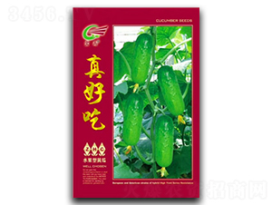 ��ó�-�S�ϷN��-����