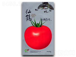 ���Q5̖-���ѷN��-����