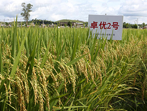 ׿��(y��u)2̖-ˮ���N��-���N�I(y��)