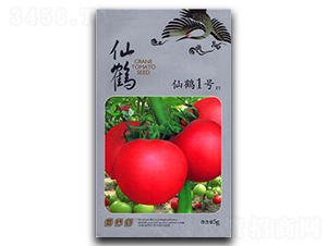 ���Q1̖-���ѷN��-����