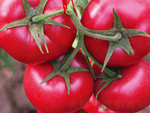 ����8̖(h��o)F1-�۹����ѷN��-Ψ�r(n��ng)�N�I(y��)