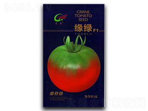 ���G-���ѷN��-����