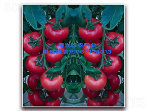 ȫ������F1-�۹����ѷN��-Ψ�r(n��ng)�N�I(y��)