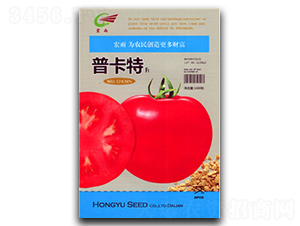 �տ���-���ѷN��-����