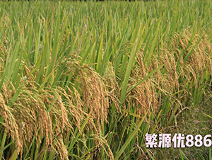 ��Դ��(y��u)886-ˮ���N��-���N�I(y��)