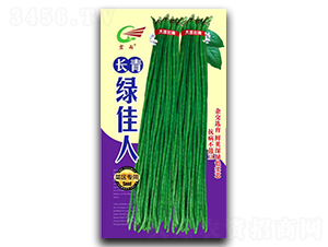 �L(zh��ng)��G����-�����N��-����