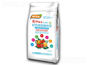 ���}��V���F�\-���a(b��)����-�S�r(n��ng)��