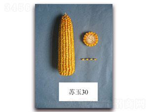 �K��30̖(h��o)-���׷N��-�к̷N�I(y��)