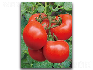 1705-���ѷN��-����