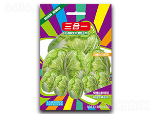 ����-�ײ˷N��-����