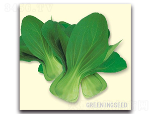 ���_��-�๣�˷N��-����