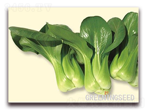 ����-�๣�˷N��-����