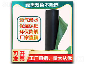 ���ݲ�-���E�Ƽ�