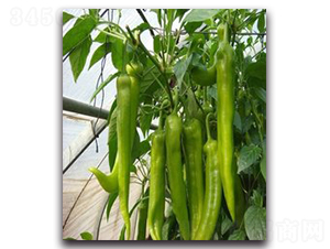 ����2̖-�����N��-�r(n��ng)���r(n��ng)�I(y��)