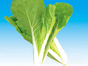 ����263���-�ײ˷N��-�Є�(chu��ng)���S