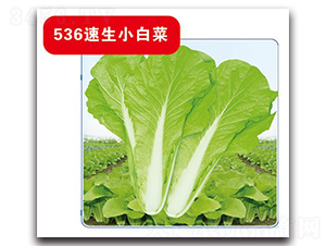 536����С�ײ�-�ײ˷N��-�Є�(chu��ng)���S