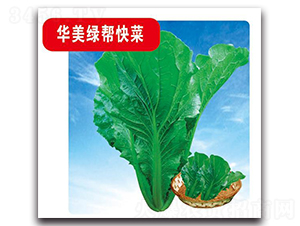 �A���G�Ϳ��-�ײ˷N��-�Є�(chu��ng)���S