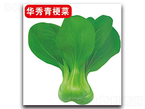 �A���๣��-�ײ˷N��-�Є�(chu��ng)���S