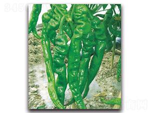 �ݽ�һ̖-�����N��-�Є�(chu��ng)���S