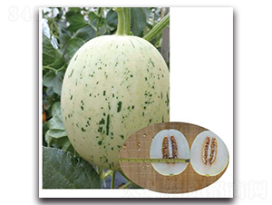 ��������-��ϷN��-�Є�(chu��ng)���S