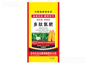 ���ĵ���-�컯�ʘI(y��)