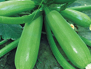 ����8068-�����J�N��-�Є�(chu��ng)���S