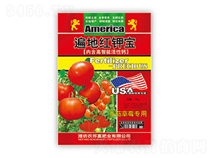 ��ؼt⛌�-�r(n��ng)�