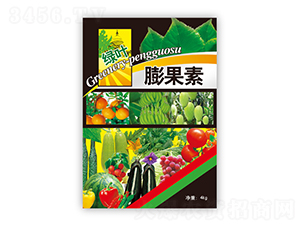 �G�~�����-�r(n��ng)�