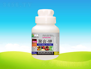 ��(y��u)�|(zh��)�ЙC⛷�-�ۺϡ��-�n��ʘI(y��)