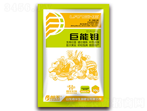 �����f-�ʺ�-���A����