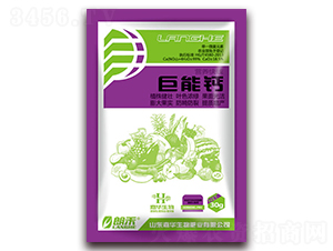 �����}-�ʺ�-���A����