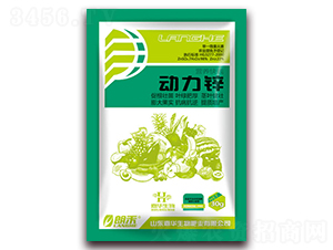 ��(d��ng)���\-�ʺ�-���A����