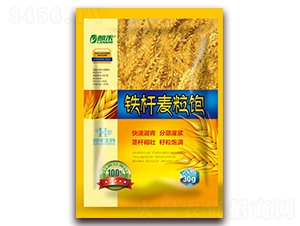 �F�U�����-�ʺ�-���A����