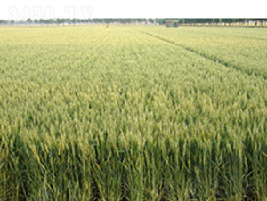 ��(j��)��22-С���N��-�����r(n��ng)�I(y��)