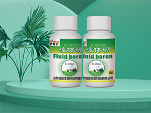 ���w��-�㶦����