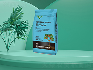 ���168-�㶦����