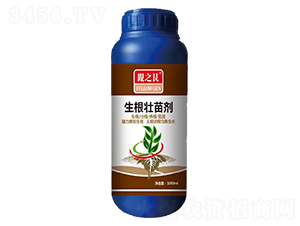 �������焩-��֮��-��(y��u)�ݿ�