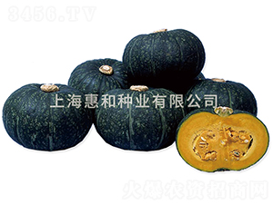 Ц��-�ϹϷN��-�ݺͷN�I(y��)