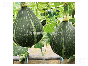 ����-�ϹϷN��-�ݺͷN�I(y��)