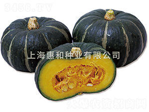 ؐؐ��̖-�ϹϷN��-�ݺͷN�I(y��)