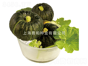 ؐؐ-�ϹϷN��-�ݺͷN�I(y��)