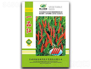 һƷ�t-�����N��-�︣�r(n��ng)�I(y��)