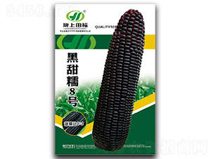 ����Ŵ8̖(h��o)-���׷N��-�︣�r(n��ng)�I(y��)